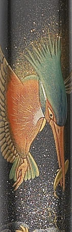 Kingfisher detail